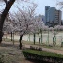 비산2.3동행정복지센터 이미지