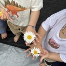 용인 다누리움 캠핑장 A존에서 차박캠핑 + 스토리지웍스 더 마스터 블랙에디션, 홀리데이 자이언트쉘터