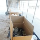 청계유통 이미지