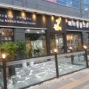 메타 동물의료센터 이미지