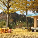 그 해 가을 이미지