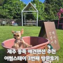 돌담펫호텔 | 제주 동쪽 애견동반숙소 구좌읍 송당리 어썸스테이 3번째 방문 후기