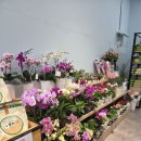 웰빙푸드 | 파주장단콩 웰빙 마루 파주 로컬푸드 직매장 문산점 ㅣ반찬쇼핑후기