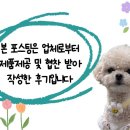 서가네삼계탕