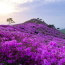 세명여행사 이미지