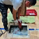 소담고등학교 이미지