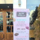 동건스애견카페 | 인천 동구 동인천카페 동구같지않은 감성카페 애견동반가능 앤드아워 헤쫀쿠 먹은 후기