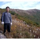 알토란공인중개사사무소 이미지