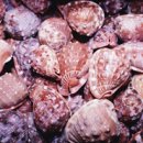 바다 속 이야기 이미지