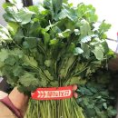 (주)테라팜 이미지