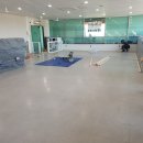 놀러왕왕왕 이미지