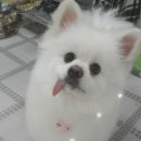 동래종합동물병원 이미지