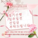 제460차 25년10월11일(둘째토) 울진 응봉산(998.5m) 100대명산 이미지