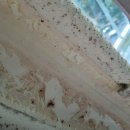 클린케이 이미지