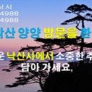 전진항낚시터