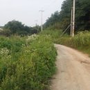 여주-1022 이미지