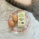 남산카클리닉 | 뱃살주사 컷주사 3회차 후기.