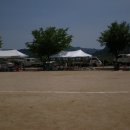 석화초등학교 이미지