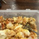 리턴투핏 이미지