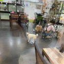 성남시분당시니어클럽 이미지