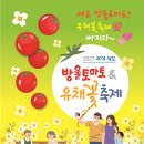 부여꽃 이미지