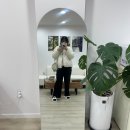 옌스샵