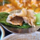 쁨쁨패밀리 | 예산 삽교 칼국수 맛집 얼큰한 육해공 보양식 삽다리닭칼국수 방문 후기