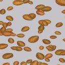 스마일플란트치과의원 이미지