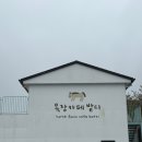 우천목장 | 제주도 서귀포 놀거리 목장카페 밭디 이색체험 후기