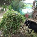 한수  마을회관 이미지