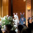 아펠가모 선릉의 혼성 4중창 + 피아노 노래 리스트 | 혼성4중창 후기 느낀점