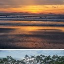 동호해변 이미지