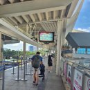 신기마을버스 정류장 | 홍콩 여행코스 란타우섬 투어 옹핑360 케이블카타고 불상 &amp; 타이오 마을 구경