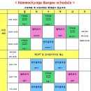 해먹요가폴댄스에어리얼실크