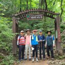 달맥 Daum카페