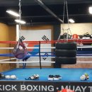 동양 킥복싱&복싱 이미지