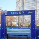 엑스포광장 야외무대 | 대전 엑스포시민광장 야외스케이트장 눈썰매장 방문후기 예약방법