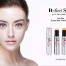 퍼펙트 하우스 이미지