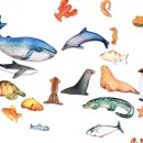 돌고래어린이집 이미지