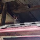 헤브론농장 이미지