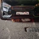 풀음농장 | #19. 2024.05 ~ 2024.06