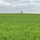 남도1농장 이미지