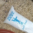 콩각시 농원 이미지