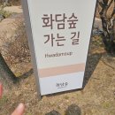 [플레이스] 봄에 다녀온 화담숲 후기🌿