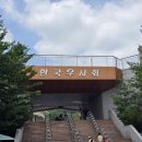 청도군-16 | 색다른 국내여행지 "경북 청도 소싸움" 일정 우권 사는 법 후기