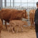 월송석화로 이미지