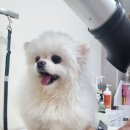버블멍 이미지