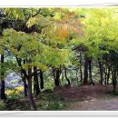 금천리마을회관 이미지