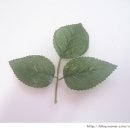 천원세탁소 이미지