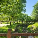 죽계 | 제39회 전국 죽계 백일장 안내/ 영주선비촌 삼락정,주차,참가 후기,결과